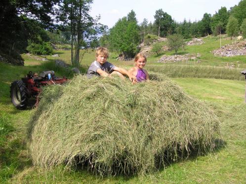 Klikk p� bilete for full storleik